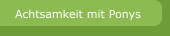 Achtsamkeit mit Ponys