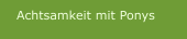 Achtsamkeit mit Ponys