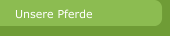 Unsere Pferde